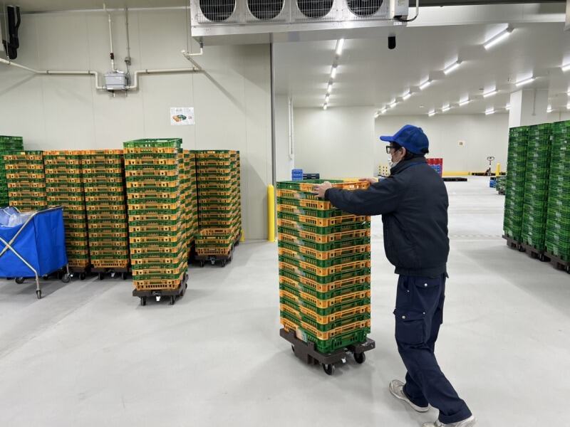 オープニングスタッフ募集！簡単なカゴの整理と仕分け作業！(軽作業・物流,川口市)のイメージ画像