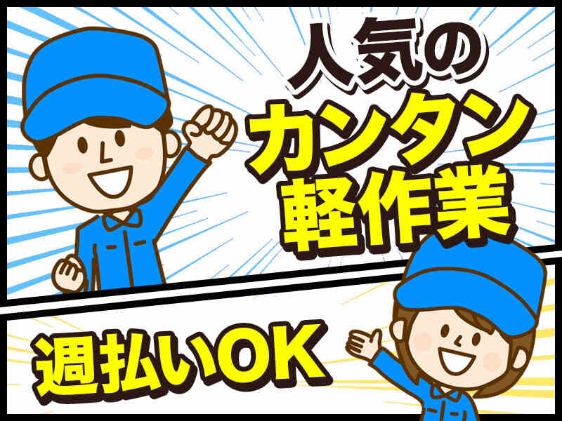 【検査・箱詰め】土日祝休み★髪色自由◎残業ほぼなし♪制服あり(工場・製造,八尾市)のイメージ画像