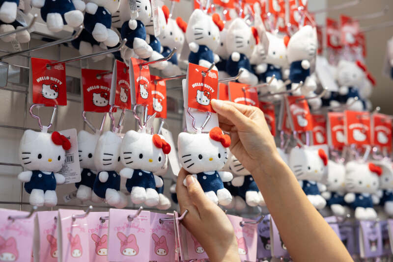 《直行直帰OK/平日のみ》サンリオ売り場を巡回するラウンダー♪(軽作業・物流,新潟市中央区)のイメージ画像