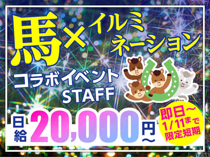 夜空に輝く無数の灯☆冬を染める幻想イルミネーション体験★(イベント,品川区)のイメージ画像