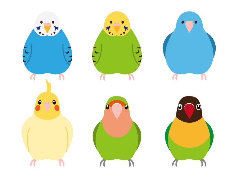 期間限定【動物大好き】ペット用品のピッキング・出荷準備作業！(軽作業・物流,柏市)のイメージ画像