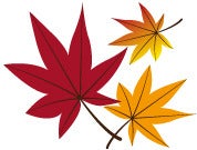 人気の落ち葉拾い☆彡時給1,500円！車通勤◎この時期だけ限定！(軽作業・物流,福岡市南区)のイメージ画像