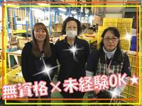フリーセル 現場 0001 のアルバイト パートの求人情報 No 株式会社フリーセル東大阪 フリーセル 現場 0001 のアルバイト パートの求人情報 No 株式会社フリーセル東大阪