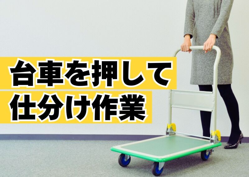 【扶養内OK☆週3日程度☆年齢不問☆日払いOK】日用雑貨の仕分け(軽作業・物流,貝塚市)のイメージ画像