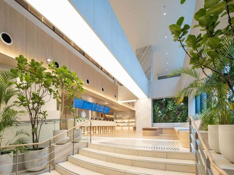 【和食の調理補助】2025年NEWオープンの健康増進施設！(フード・飲食,大阪市北区)のイメージ画像