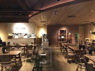 品川駅のカフェ コーヒー 珈琲 喫茶店のバイト アルバイト パートの求人情報 バイトル で仕事探し
