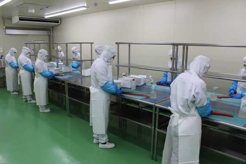 鮮魚の仕分け・加工／交通費全額支給｜フルタイム｜船橋市(フード・飲食,船橋市)のイメージ画像