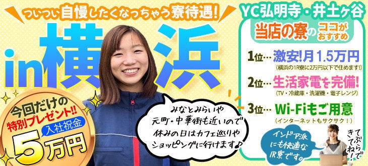 アシスト付き3輪車 手渡し希望です 場所は 神奈川県相模原市南区