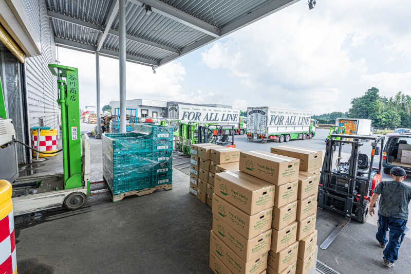 未経験OK【11～12月限定/短期荷分け】週3～*4時間～OK/車通勤可(軽作業・物流,山武郡芝山町)のイメージ画像