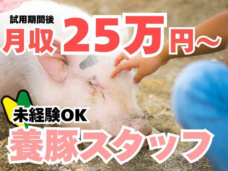 働きやすさ◎未経験でも月25万？動物により良い環境を！養豚管理(専門職、その他,都城市)のイメージ画像