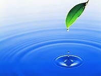 【正】分析センターでの分析補助/＠神奈川県横浜市金沢区(軽作業・物流,横浜市金沢区)のイメージ画像