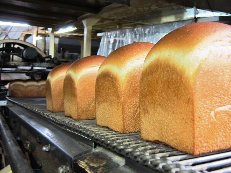 お仕事はパンの製造です！
