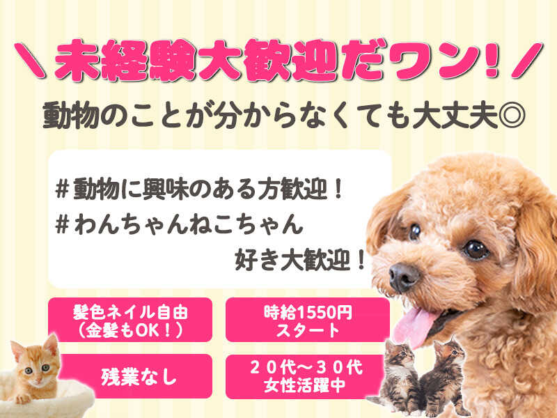 《ペット好き歓迎》ペットに関するサポート業務★時給1550円～♪(オフィス,目黒区)のイメージ画像