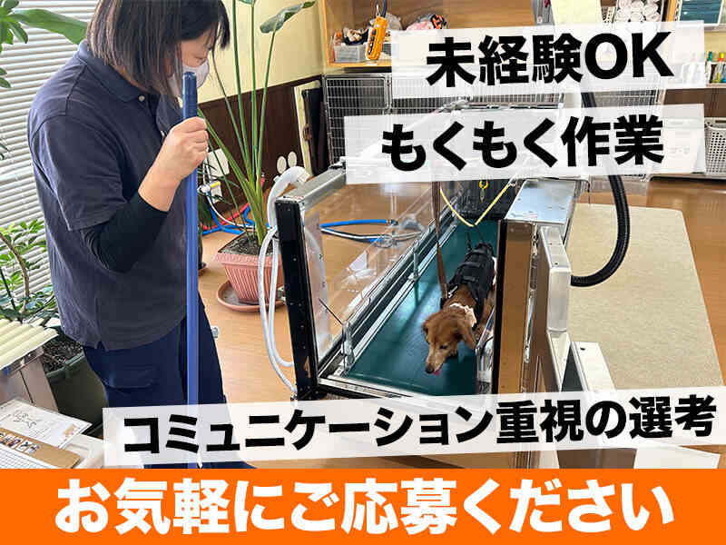 251016 429178 001 pit cw 115684