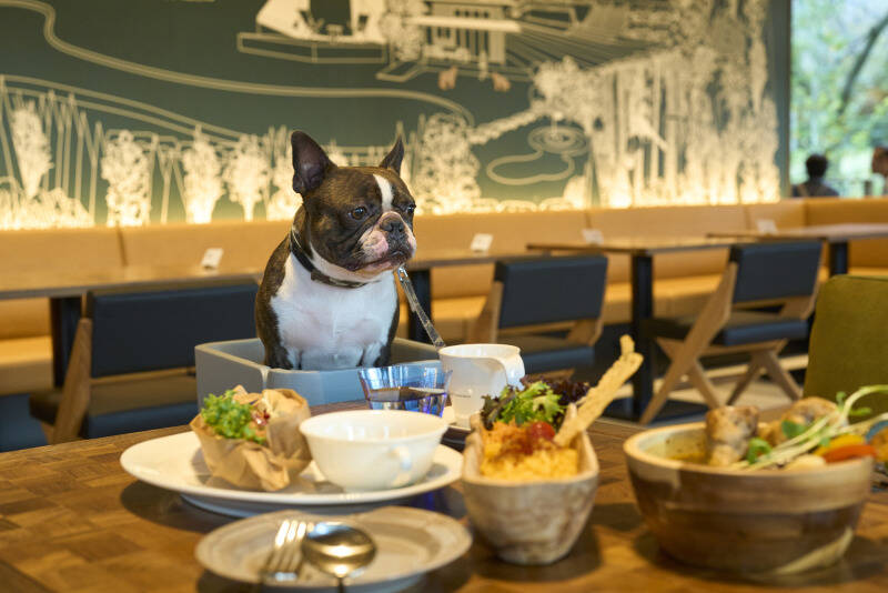ホールスタッフ募集◎リゾート施設内飲食店*働きやすさ抜群♪(フード・飲食,長生郡長柄町)のイメージ画像