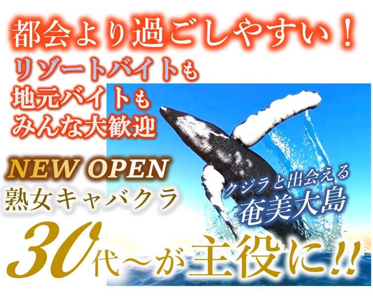 奄美大島はクジラに出会えるスポットで有名