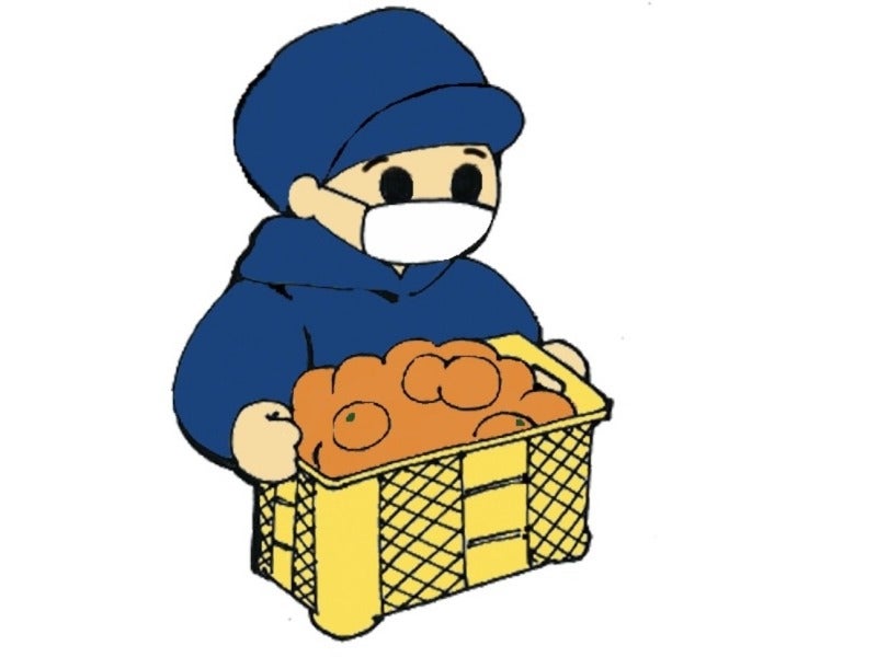 <短期＞みかんの投入補助｜2月上旬まで｜週4日～｜未経験OK(工場・製造,有田市)のイメージ画像