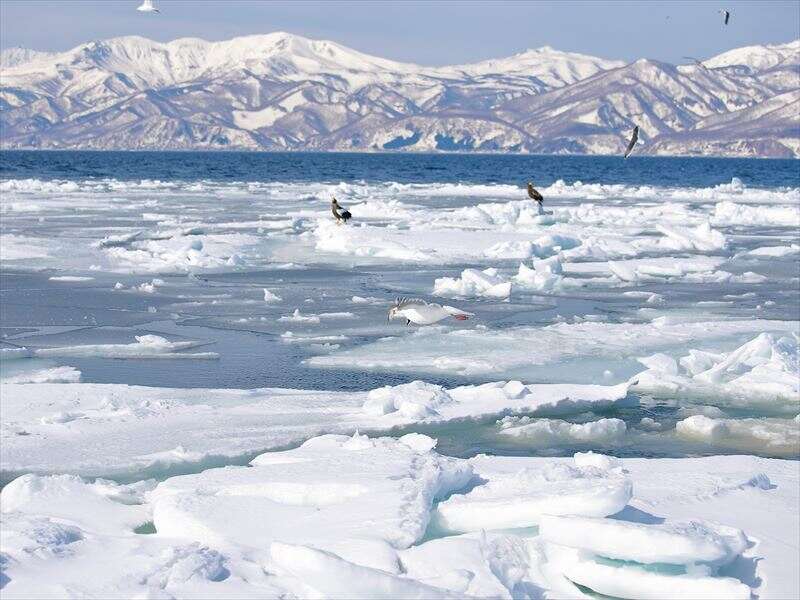 流氷シーズンの知床！カジュアルなホテルで裏方スタッフ募集(サービス,斜里郡斜里町)のイメージ画像