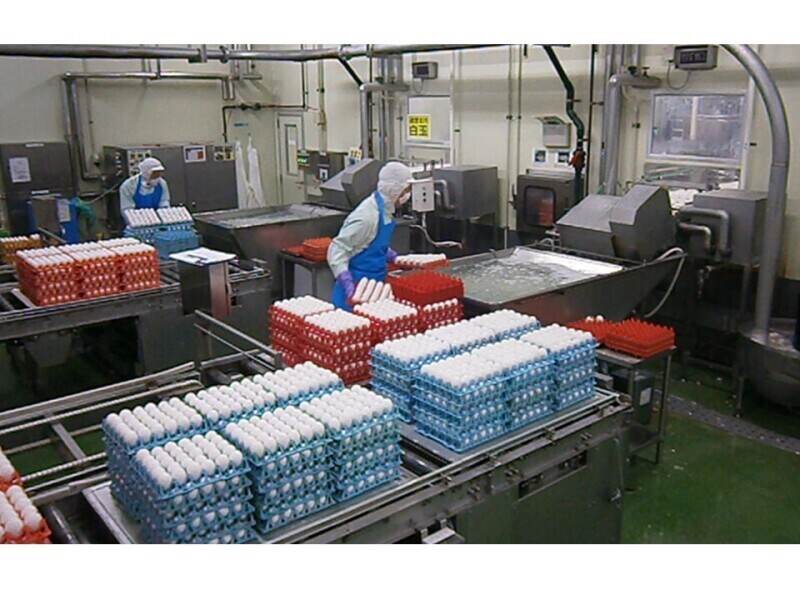 働き方が柔軟だから続けられてます。未経験◎手当充実♪食品製造(工場・製造,三戸郡階上町)のイメージ画像