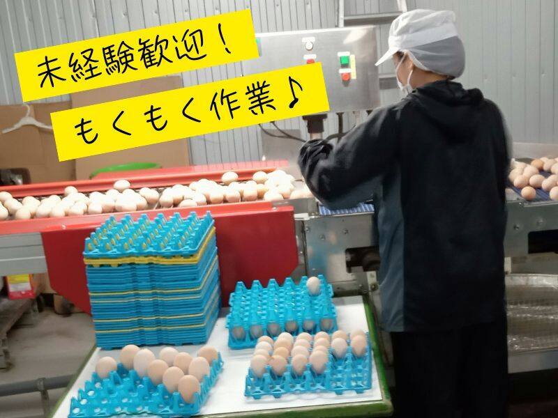 ★子育て世代が選ぶ職場★未経験も安心！もくもく仕分け作業♪(軽作業・物流,鹿足郡吉賀町)のイメージ画像