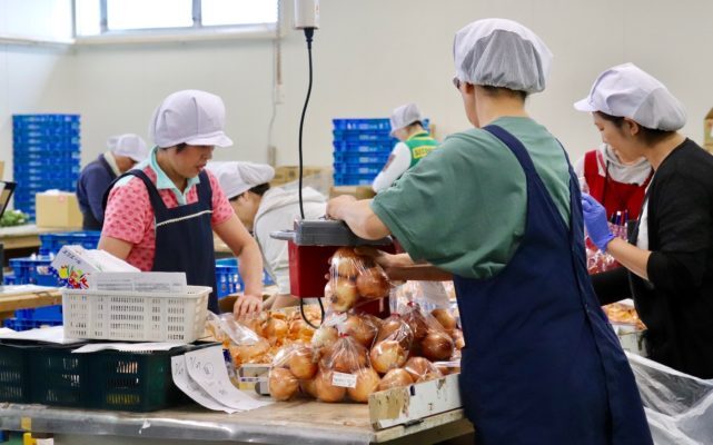 週2/3h～OK！＼12/8～1/12までの短期募集！／履歴書不要◎(軽作業・物流,松戸市)のイメージ画像