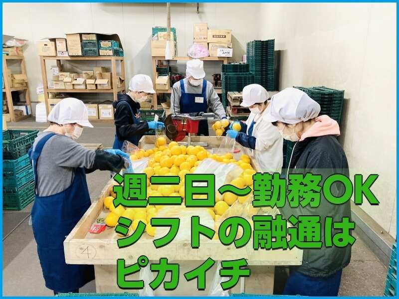 週2/3h～OK！＼10月から1月末までの短期募集！／履歴書不要◎(軽作業・物流,松戸市)のイメージ画像