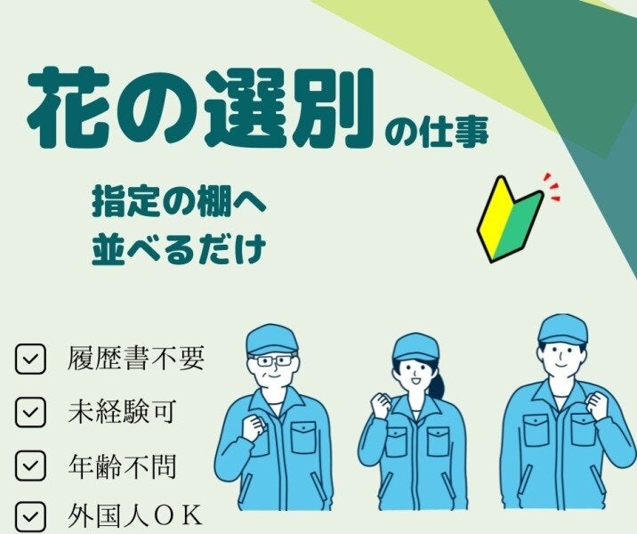 ＼菊の選別・出荷 軽作業／昼勤◎シニアOK◎外国人OK　(軽作業・物流,田原市)のイメージ画像