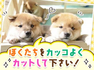 Pxmtggp0p38c8m Pxmtggp0p38c8m