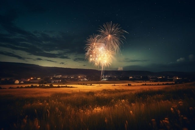 コンサートイベント警備◆翌日払い！登録制！休憩中も時給発生！(軽作業・物流,名古屋市東区)のイメージ画像