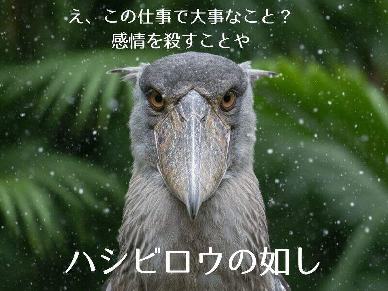 葬儀業界。感情？そんな暇ないです。高日給＆祝い金でも無表情。(サービス,足立区)のイメージ画像