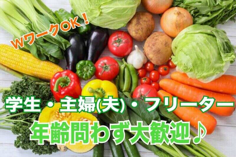♯卸市場の一般事務スタッフ★午前中のみ！未経験歓迎♪副業OK◎(オフィス,大阪市福島区)のイメージ画像