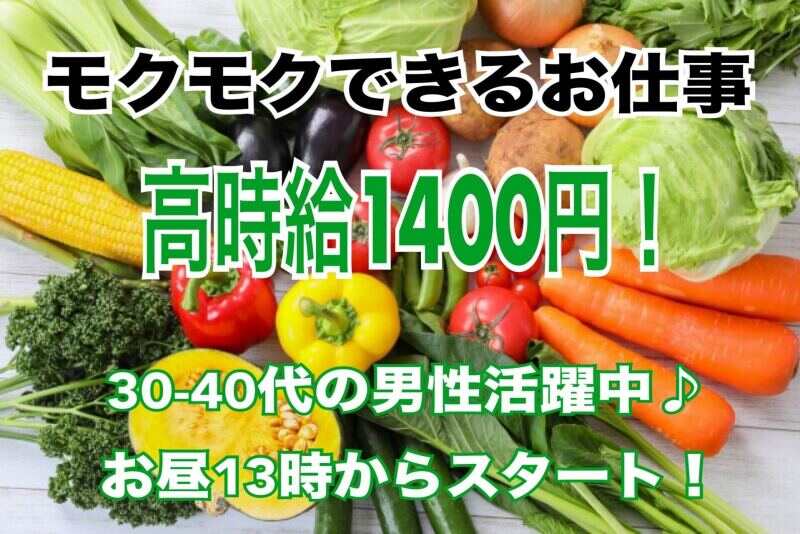 ♯卸売市場の軽作業STAFF★水・日休み！高収入♪13時スタート◎(軽作業・物流,大阪市福島区)のイメージ画像