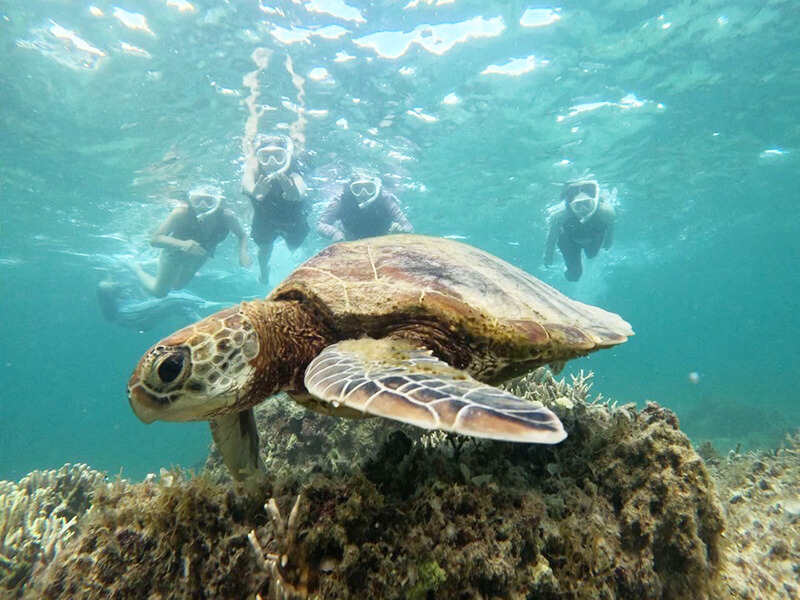 未経験OK!現役アナウンサーが社長!やりたいことが出来る将来へ!(オフィス,渋谷区)のイメージ画像