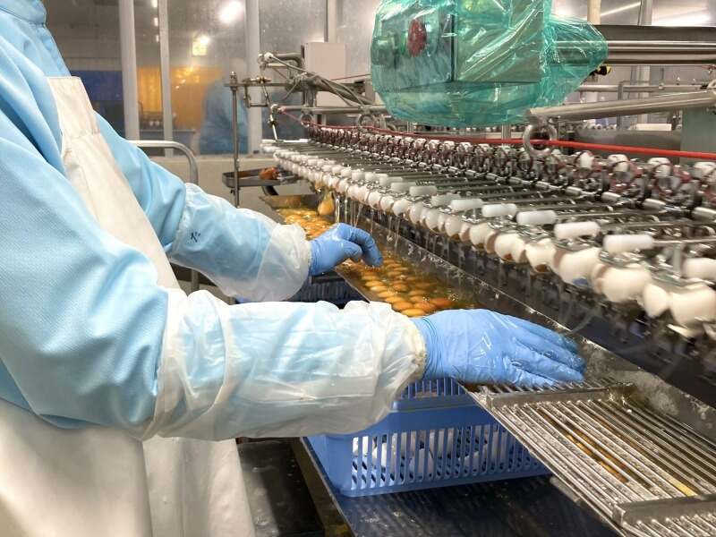 27ce42ea b3ee 4970 868b e84b33f00782