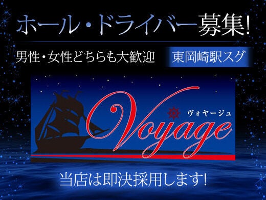 Voyage 1 20250526