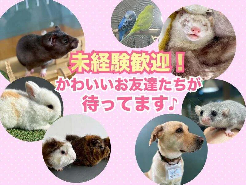 求人画像2