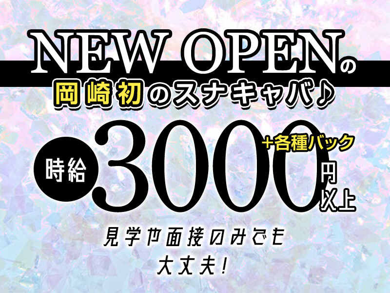 【NEW OPEN】岡崎初出店のスナキャバ！